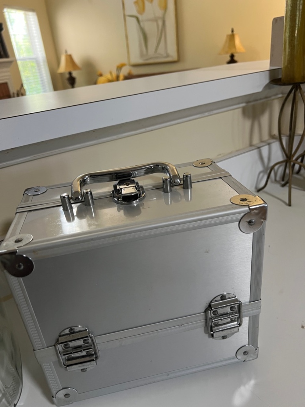 Silver Aluminum Makeup Train Case – Compact Storage Box